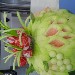 Composizione - Ugo Picciafoco
