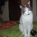 Dolcissima min� - Ely - inserita il 25 Maggio 2005