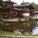 Hawaii - Monastero Pond - Grace (Washington - USA)  mgraziar@earthlink.net