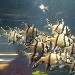 Acquario di Genova - Pippo Lombardo - inserita il 25 Maggio 2005