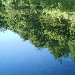 Paesaggio ligure - Marco da Genova - inserita il 12 Luglio 2005