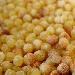 Fregola sarda - -