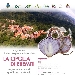 Futani, la cipolla di Eremiti torna a risplendere, parte il progetto di recupero e valorizzazione. - Venerdi 20 dicembre il convegno sull'agroalimentare di qualit�, stand gastronomici e musica dal vivo
