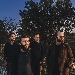 Gabriele Fava Group - -