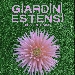 Giardini Estensi XIV Edizione - -