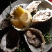 Gli amanti del crudo di qualit� - -