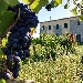 IRPINIAMO, IL RISTORANTE MOBILE CHE VIAGGIA PER I BORGHI DELL'IRPINIA FA TAPPA A PATERNOPOLI CON I VINI DI CANTINE FAMIGLIETTI
 - 