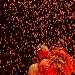 Il Barbiere di Siviglia, Commedia Pop - 