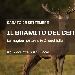 Il Bramito del Cervo - -