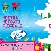 Il Mare in Fiore - -