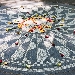 Il Mosaico con testa di Medusa torna in allestimento al MANN in ricordo di John Lennon, presentazione 5 ottobre alle ore 10 - I motivi a squame della grande decorazione pavimentale si ritrovano nel memoriale a John Lennon
nell'oasi della pace al Central Park newyorkese
Il legame tra Yoko Ono e la citt� di Napoli in una storia tutta da scoprire