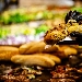 International Street Food - -