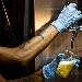 International World Beer Festival - -