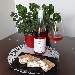 LANGHE DOC ROSATO 'OROROSA' Az. Agricola Marco Capra - -