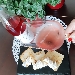 LANGHE DOC ROSATO 'OROROSA' Az. Agricola Marco Capra - -
