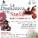 La Domenica delle Stelle - -
