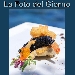 La Foto del Giorno del 3 Settembre 2021 - Trilogia di mare in tempura con maionese di polpo e foglioline dell'orto - -