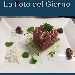 La Foto del Giorno del 27 Settembre 2021 - Tartare di tonno con senape - -