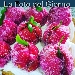 La Foto del Giorno del 27 Ottobre 2021 - Dolce pesche - -