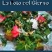 La Foto del Giorno del 31 Ottobre 2021 - Bruschetta agli aromi mediterranei e cacioricotta - -