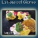 La Foto del Giorno del 20 Novembre 2021 - Baccal� in tempura con salsa plin plin al gorgonzola e lamponi disidratati - -