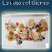 La Foto del Giorno del 22 Dicembre 2021 - Culurgiones con calamari arrostiti arselle e bottarga di muggine - -