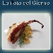 La Foto del Giorno del 26 Dicembre 2021 - Polpo arrostito - -