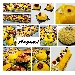 La Mimosa targata Pasticceria Seccia, un trionfo di sapori dalle mignon alle torte per la festa della donna 2020
 - -