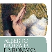 La Romana di Alberto Moravia - -