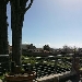 La cultura non si ferma al Parco archeologico di Ercolano
 - ERCOLANO AI TEMPI DEL COVID19. LA SFIDA DEI RESTAURI TRADIZIONE E NUOVE TECNOLOGIE NELLA PALESTRA