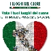 La partenza dell'XI censimento nazionale de 