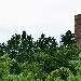 La storica Torre di Montaldo Roero - -
