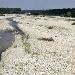 Lago di Gello - siccit� - -