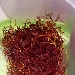 Lo Zafferano, questa deliziosa e gustosa pianta aromatica oro rosso - -