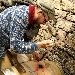 Lui, la terra � l'origine, Patrick Uccelli - -