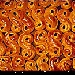 Lussekatter - -