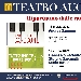 Manifesto Ripartiamo dalle  Radici - Teatro Augusteo - -