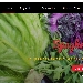 Menu Contatti e info - -