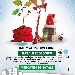 Mercatini di Natale - -