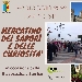 Mercatino dei Sapori e delle Curiosit� - -