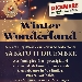 Mercatino di Natale e Winter Wonderland - -