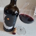 Merlot naturale in anfora tra lepre e luna nelle Marche - -
