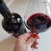 Merlot naturale in anfora tra lepre e luna nelle Marche - -