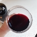 Merlot naturale in anfora tra lepre e luna nelle Marche - -