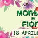 Montale in Fiore - -