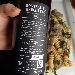 Montefalco grechetto DOC Az. LA VENERANDA - -