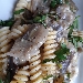 Montefalco grechetto DOC Az. LA VENERANDA - -