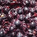 Mosto in fermentazione - 