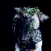 Museo Spazio Pubblico, attivit� di luglio con Nina Backman, Silence Project
 - -