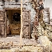 Natale al MANN, riparte la campagna abbonamenti e s'inaugura il Presepe
 - L'Associazione Presepistica Napoletana dedica la creazione 2021 all'Unit� d'Italia
Dal 6 dicembre, parte la nuova campagna di abbonamento OpenMANN
Lo slogan �: 